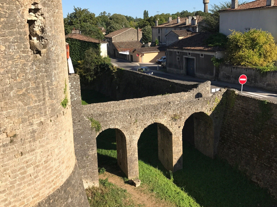 Château de Villandraut景点图片