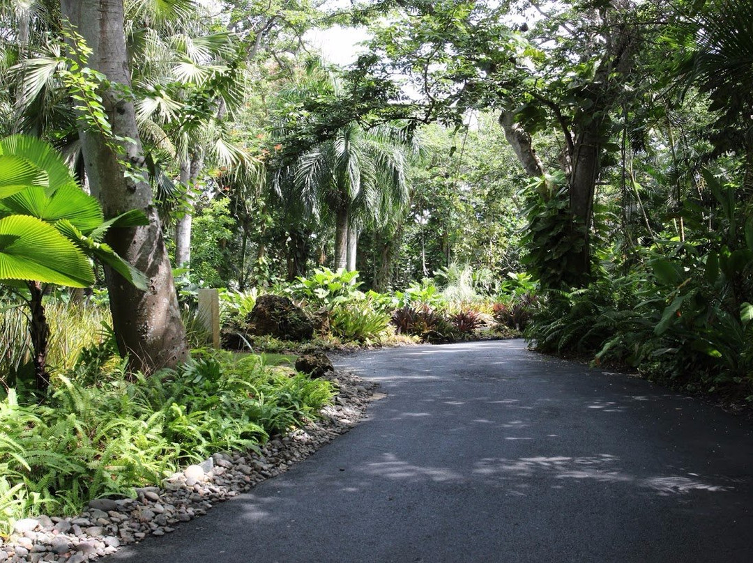 Dorado Beach Resort & Golf Club-多拉多必去景点