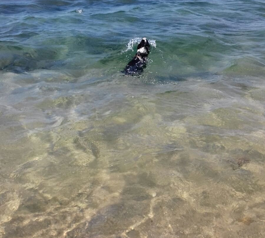 Spiaggia Porto Fido景点图片