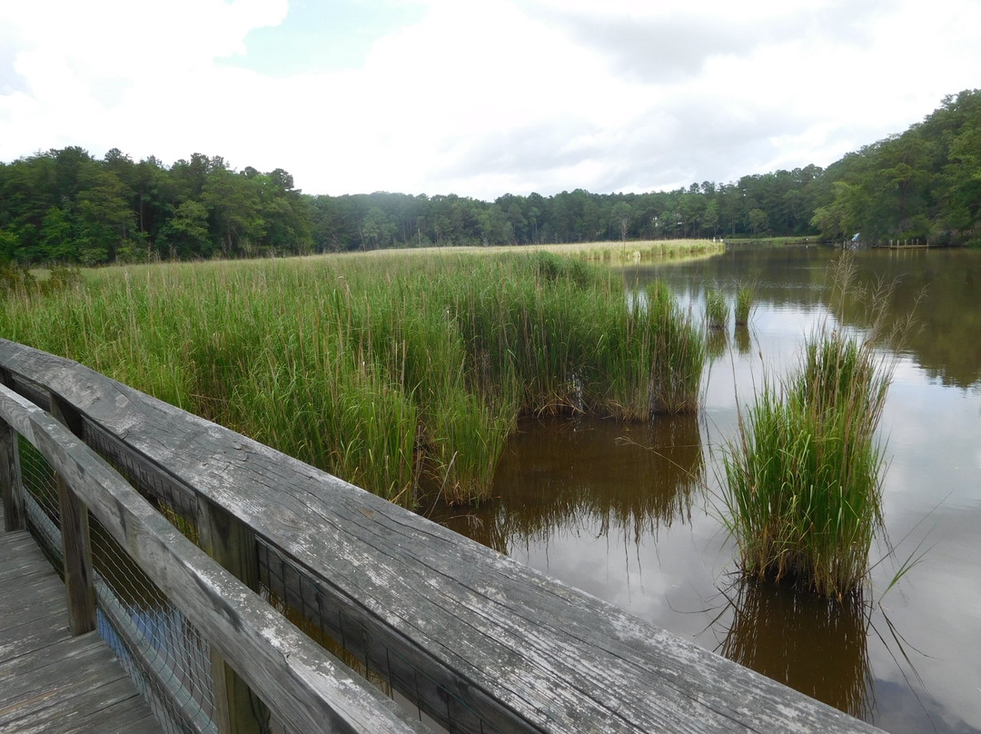 Heathsville旅游攻略图片