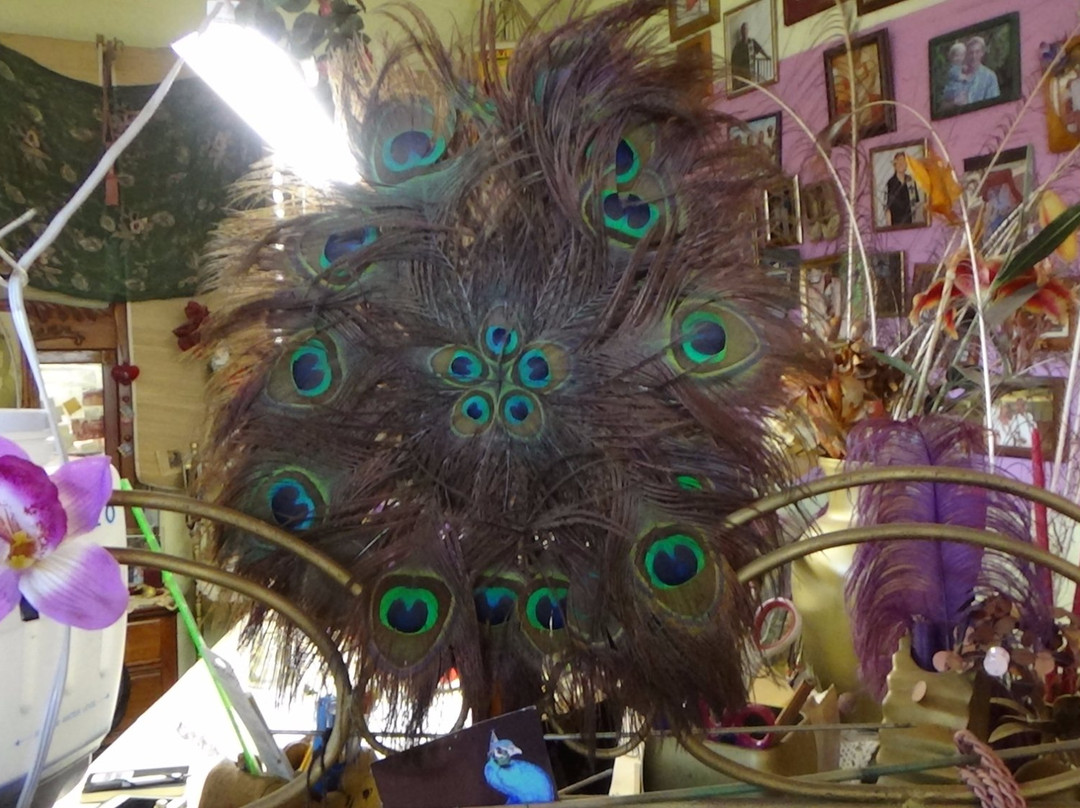 Jacqueline on Kauai-哈纳佩佩必去景点