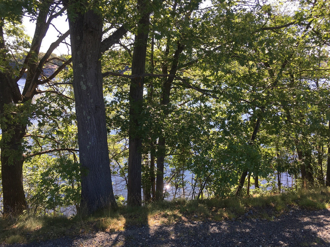 Quinsigamond State Park景点图片