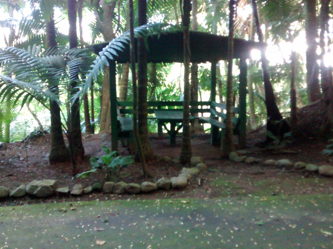 Monte Guilarte State Forest-Adjuntas必去景点