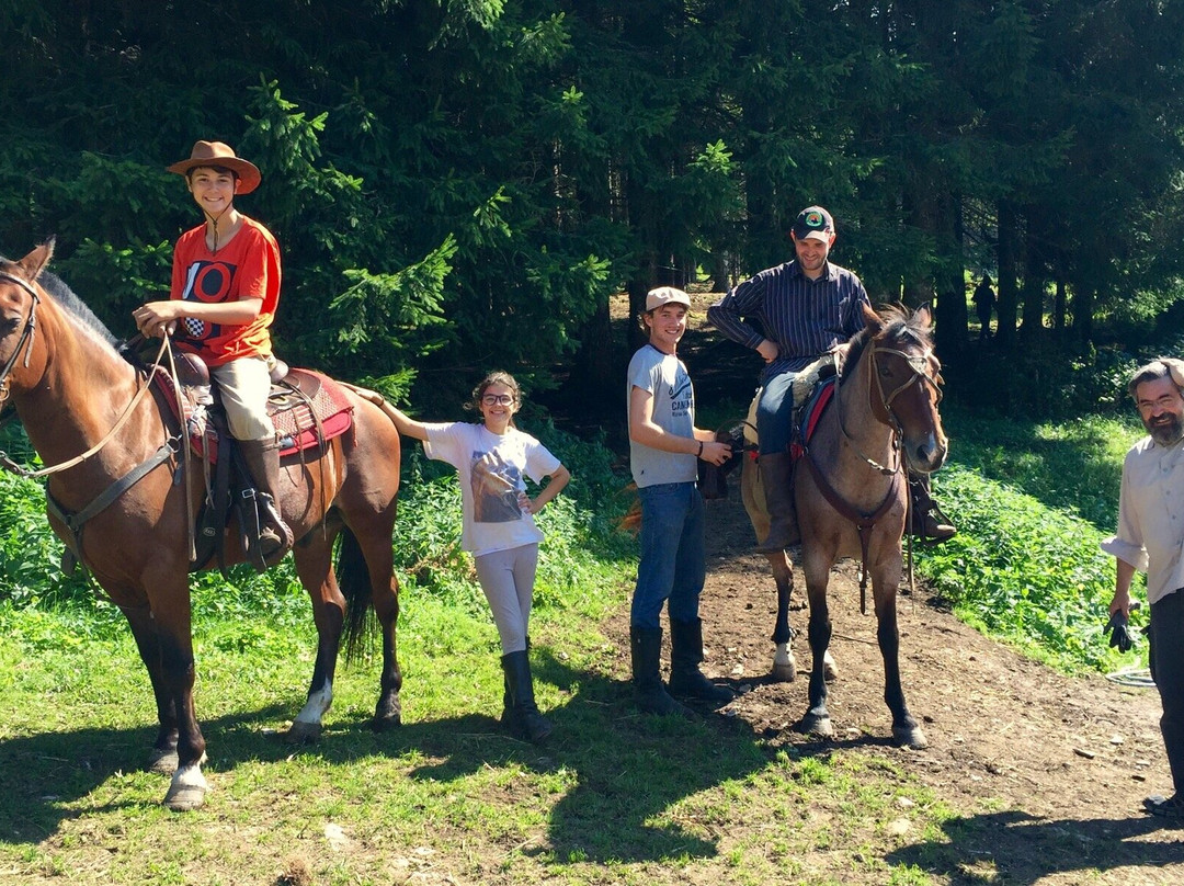 Centro Equestre Il Salice景点图片