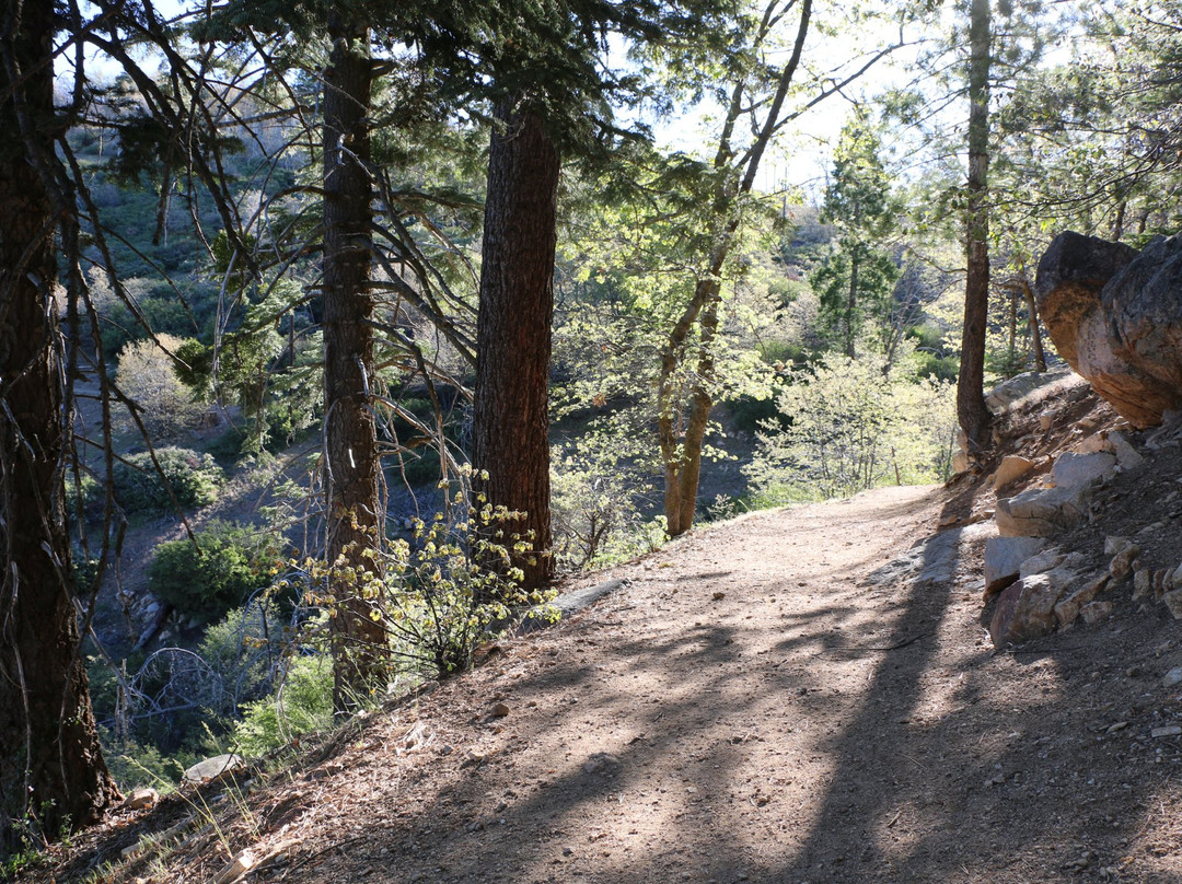 Heaps Peak Arboretum-Skyforest必去景点