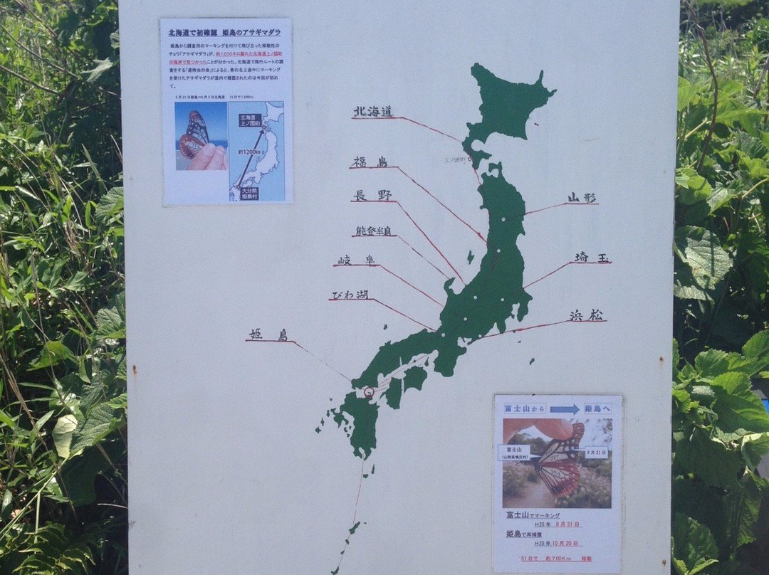 Asagi Madara Resting Place-姬岛村必去景点