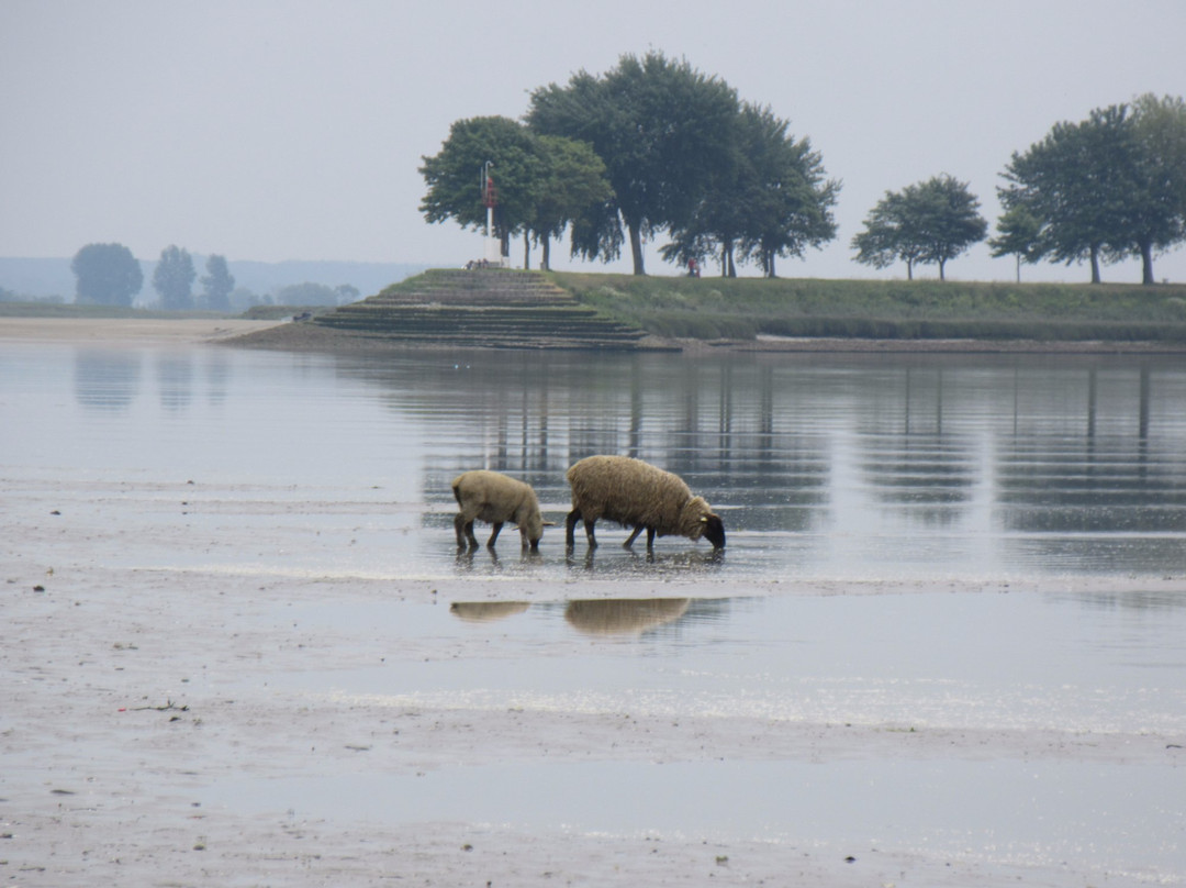Amandine Guide Nature en Somme景点图片