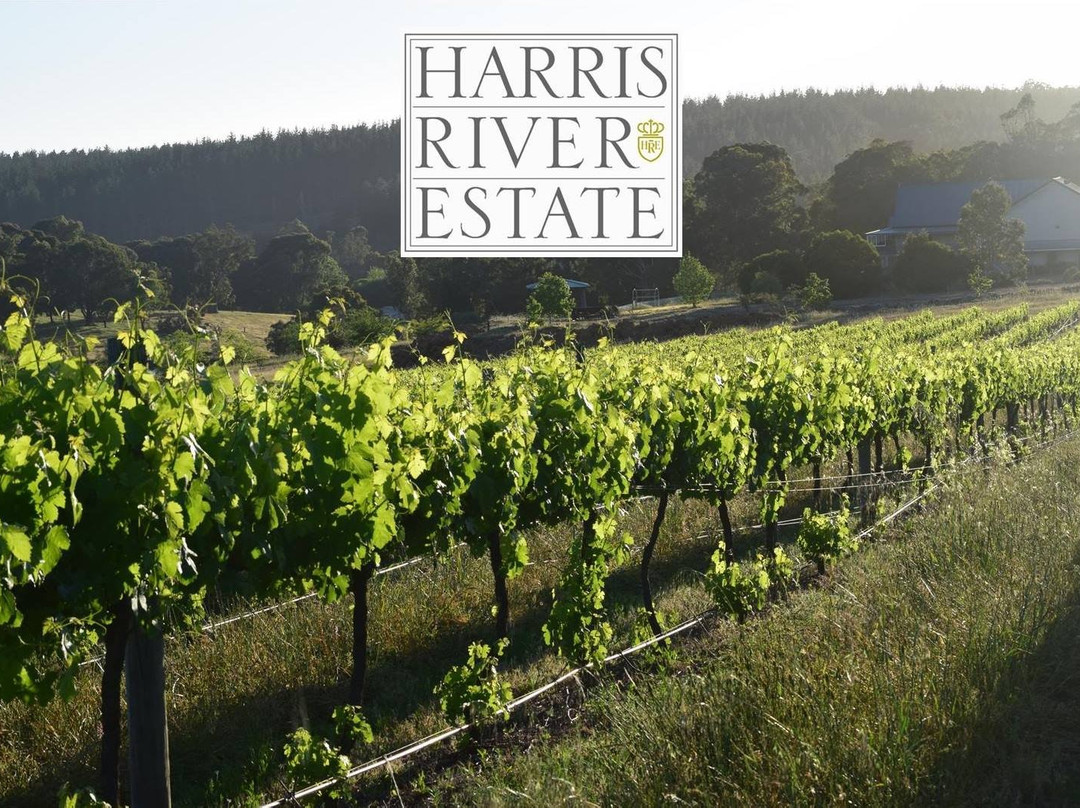 Harris River Estate-Collie必去景点