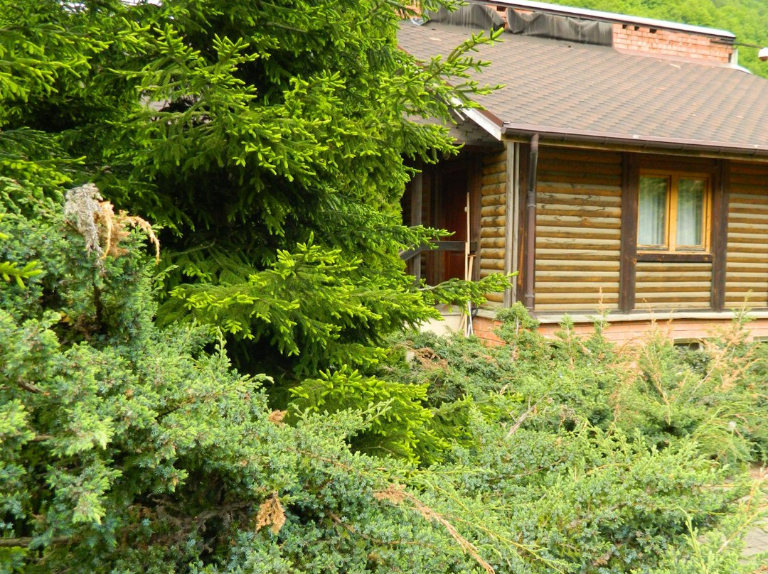 Manor Krasnaya Polyana主图