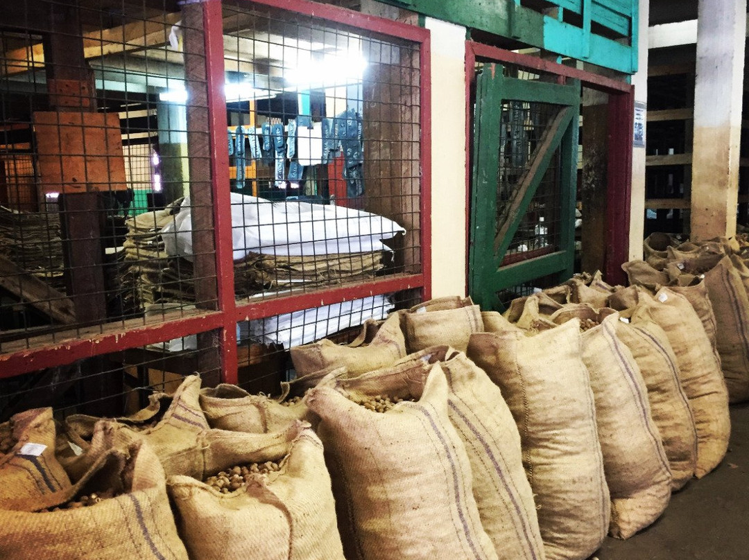 AJ Meddy Taxi & Tours Service-St. George's必去景点