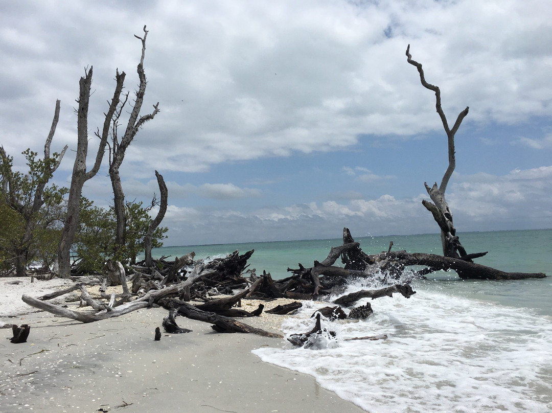 Cayo Costa旅游攻略图片