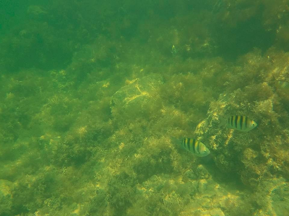 Surf You To The Moon-伊斯拉摩拉达必去景点