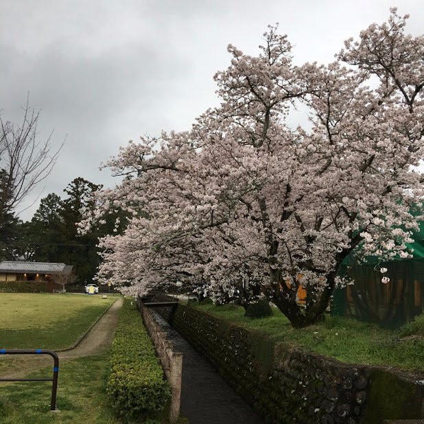 Ohara Hachiman-gu-日田市必去景点