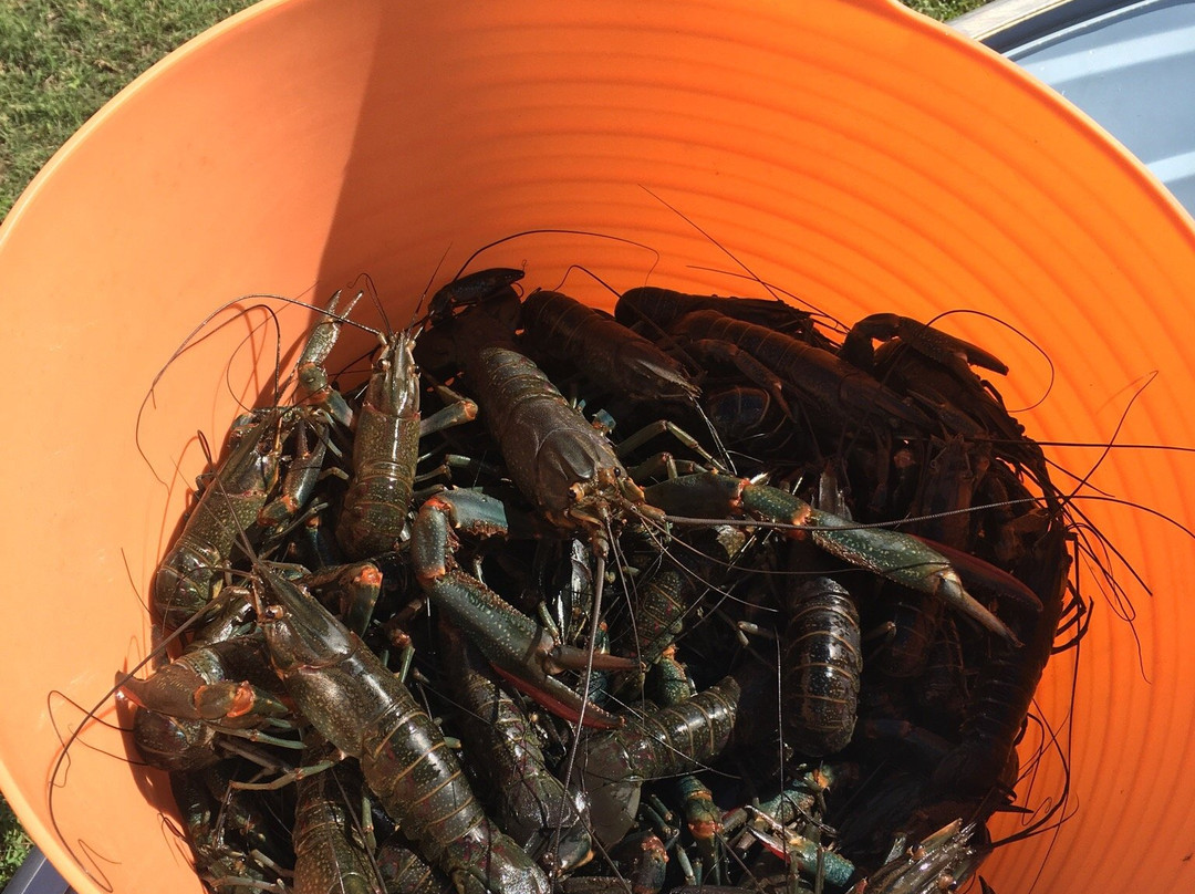 Lake Wuruma-Eidsvold必去景点