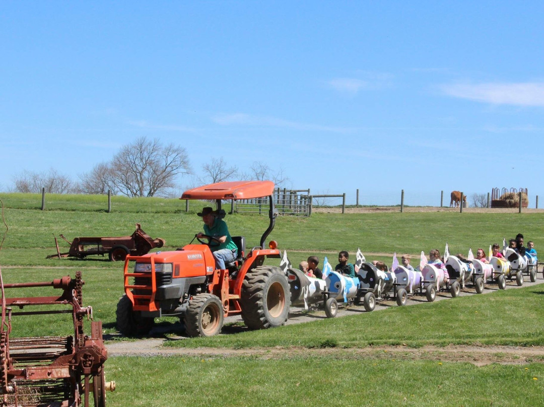 Clark's Elioak Farm-埃利科特城必去景点