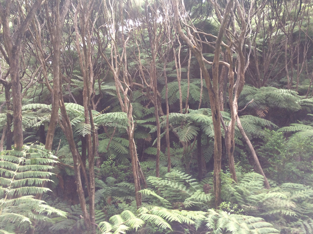 Russell Nature Walks景点图片