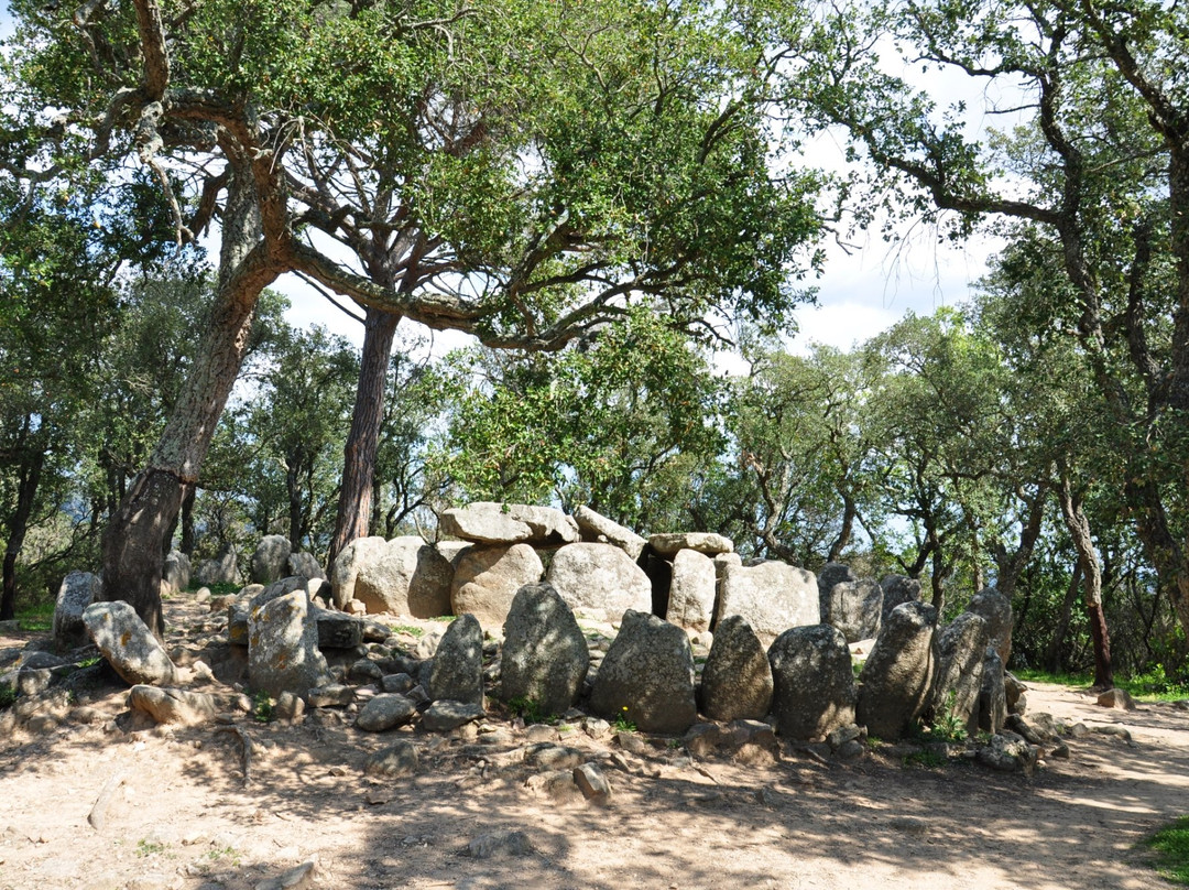 Cova d' en Daina-Santa Cristina d'Aro必去景点