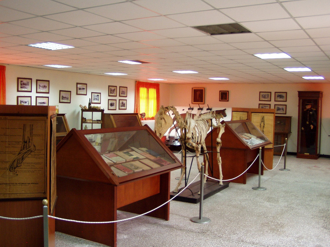 Museum of Military Veterinary Service-Larissa必去景点