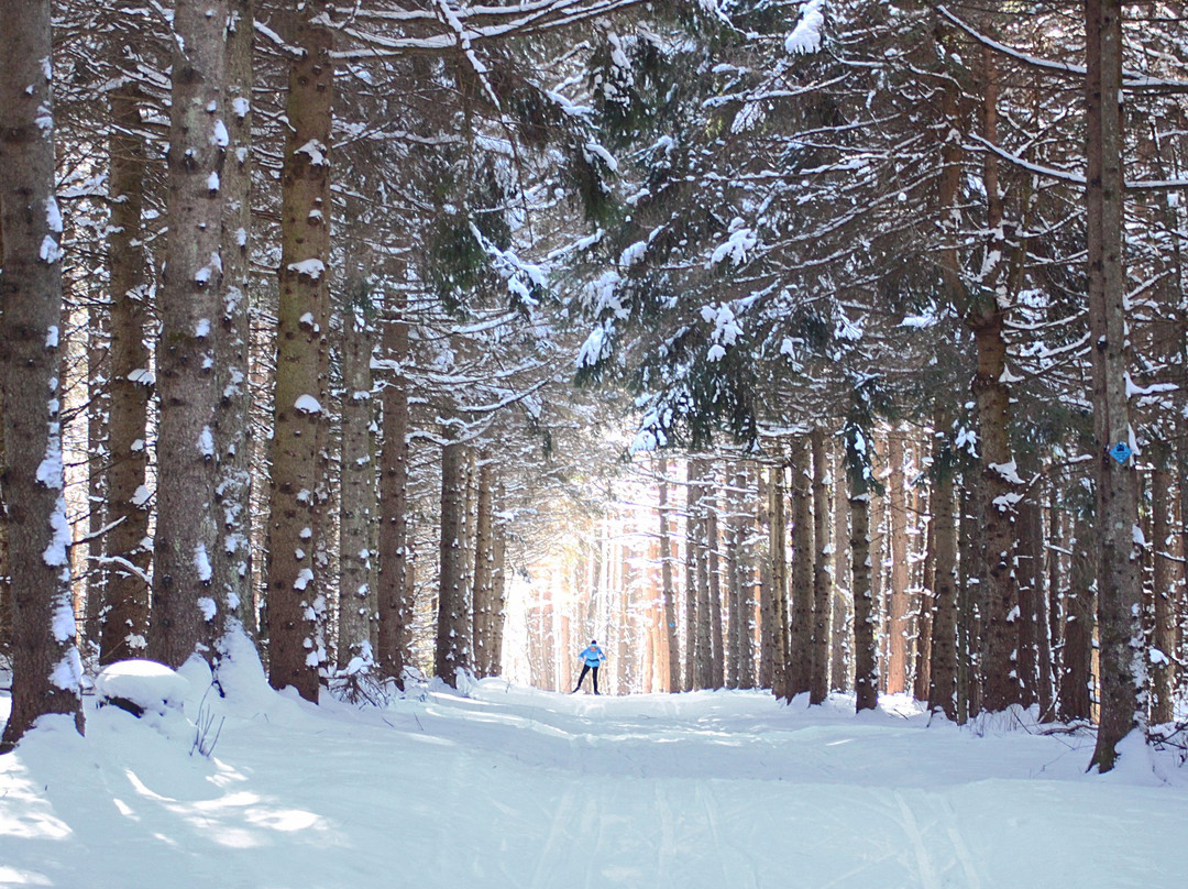 Rikert Nordic Center-Ripton必去景点