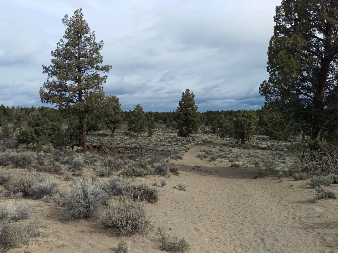 Oregon Badlands Wilderness Trails景点图片
