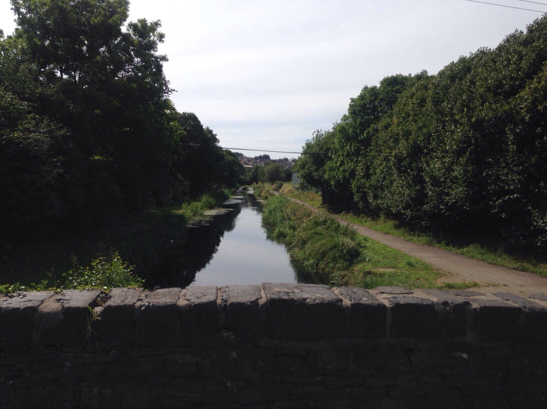 Neath &Tennant Canals Trust Boat Trips景点图片