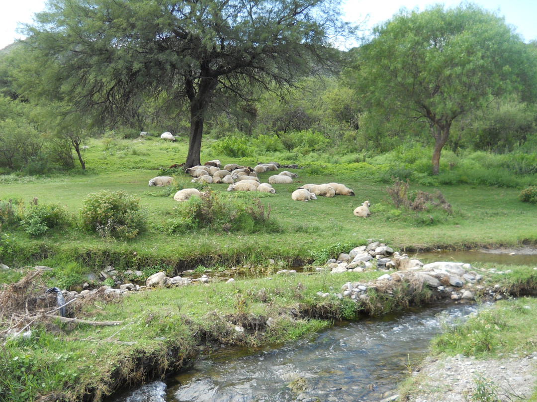 Bajo de Veliz-San Luis必去景点