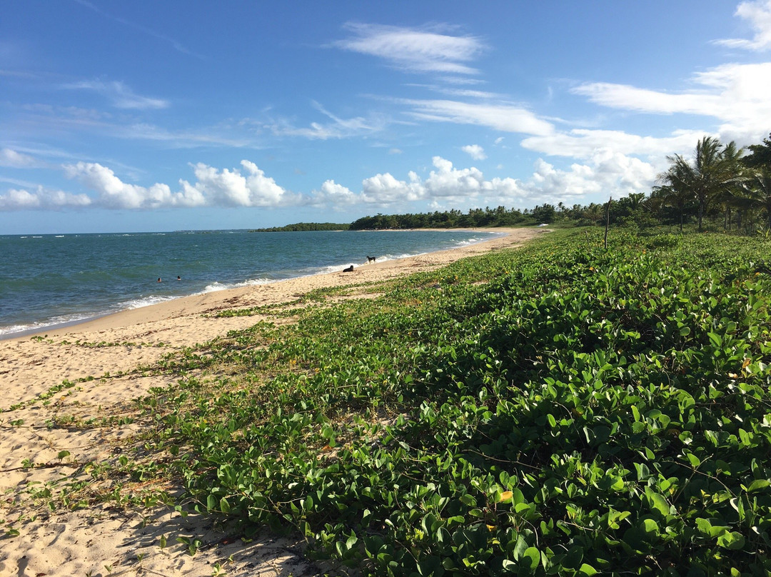 Santo Andre Beach景点图片