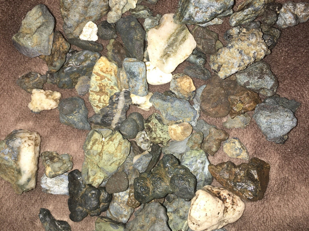 Benitoite Mining Company-科灵加必去景点