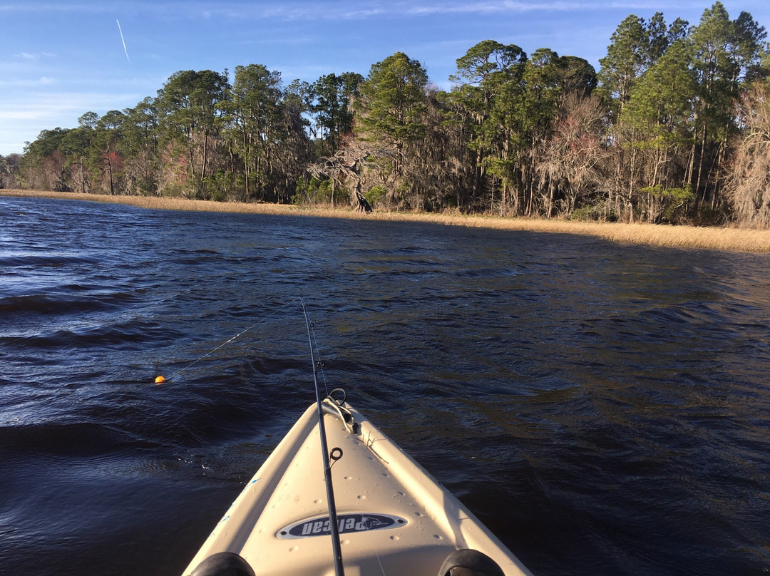 Osceola National Forest-Sanderson必去景点