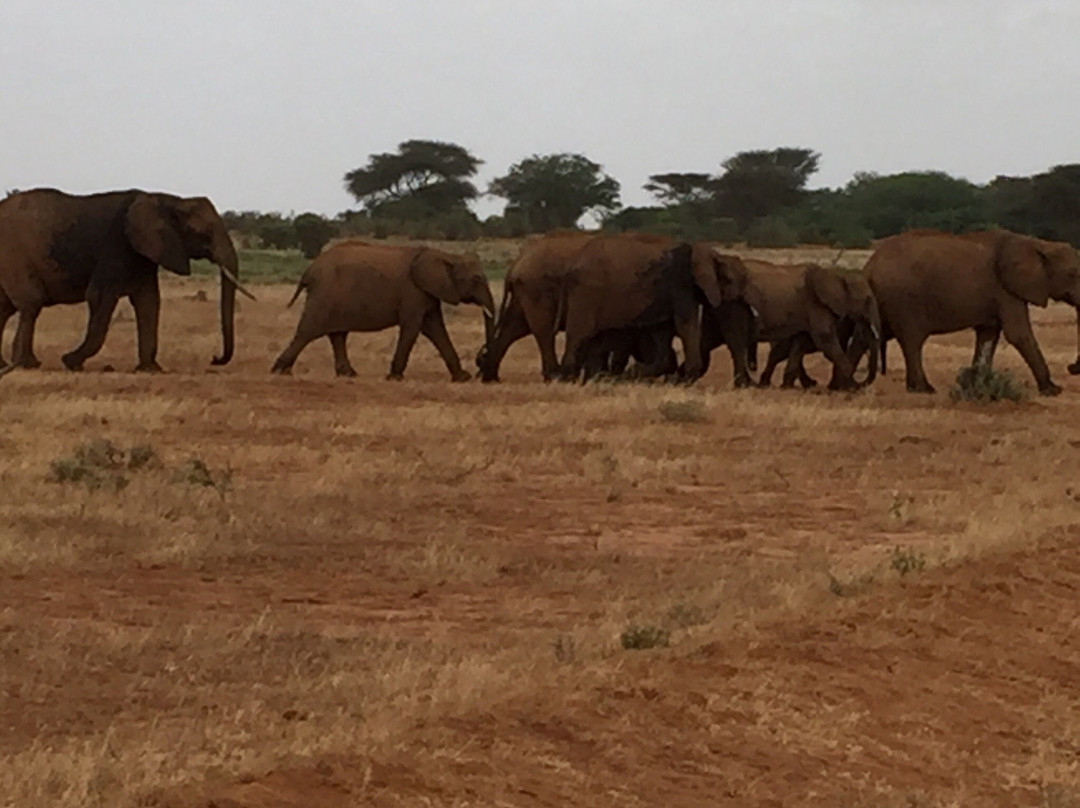 Kenya Safari Explorer-马林地必去景点