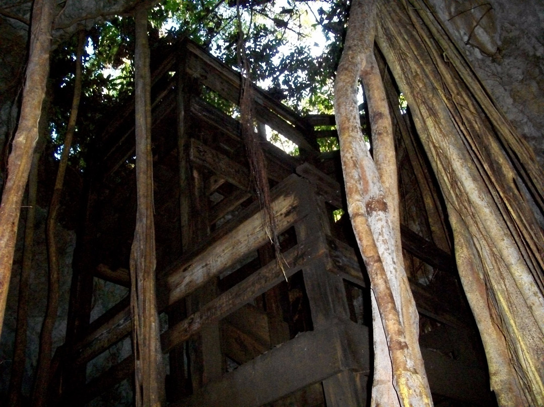 Guajataca Forest Reserve-Isabela必去景点