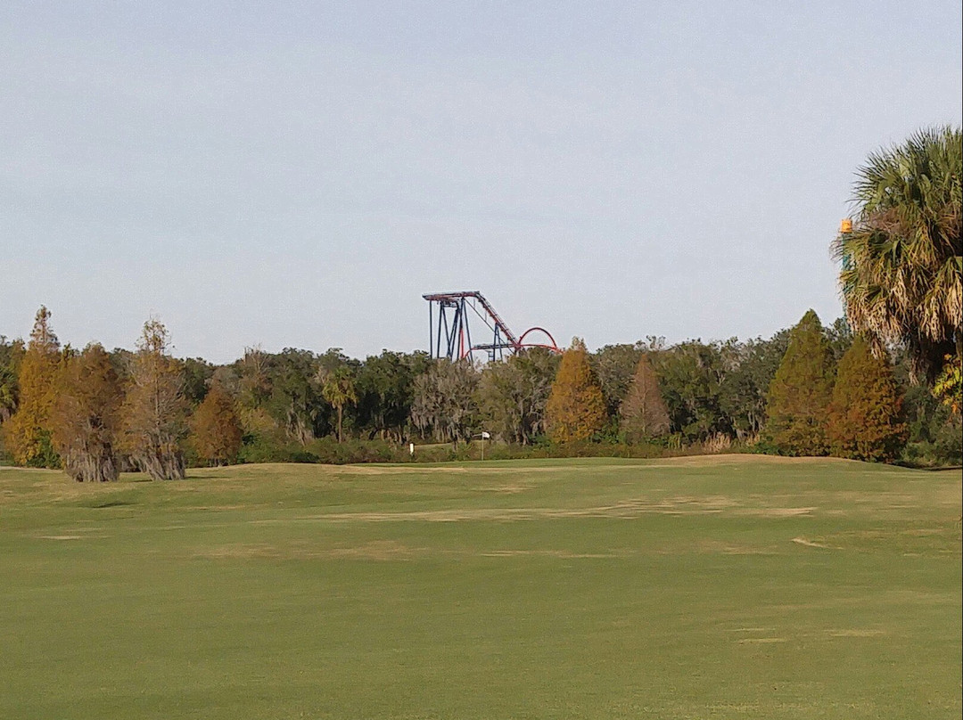 Rogers Park Golf Course-坦帕必去景点