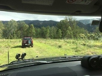 Nymboida National Park-Nymboida必去景点