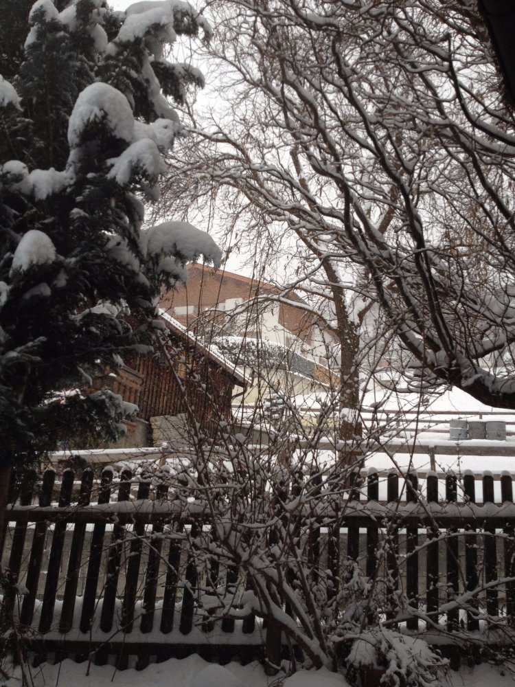 Europa Pension Tirol-酒店景观