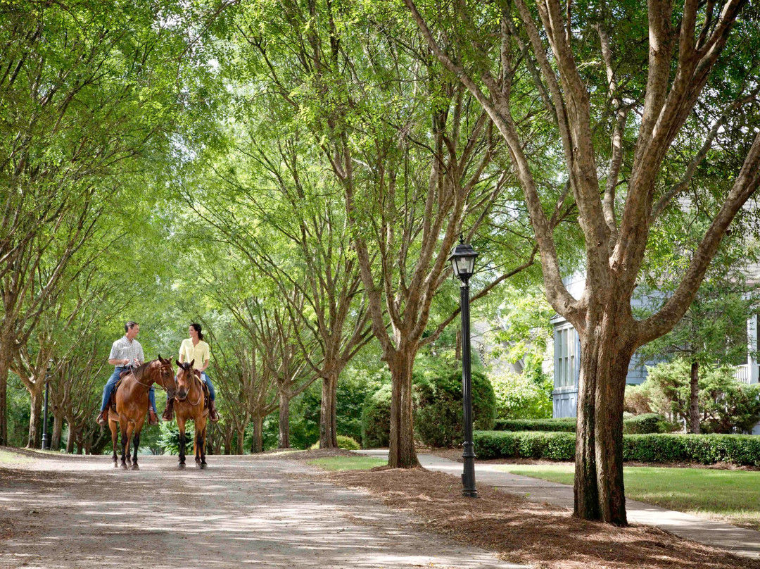 Horseback Riding at Barnsley Resort-Adairsville必去景点