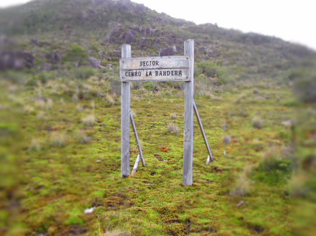 Sendero Cerro La Bandera-Tortel必去景点