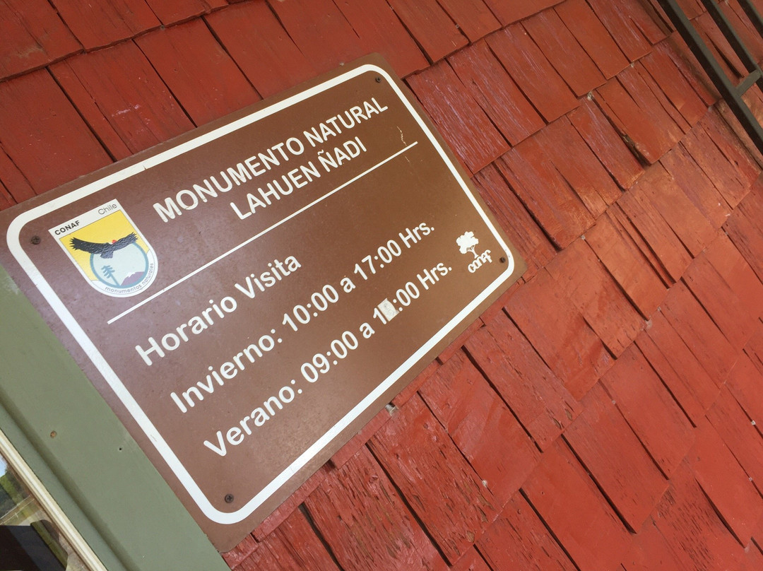 Monumento Natural Lahuen Nadi-蒙特港必去景点