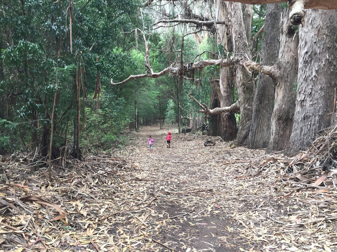 Reserva Nacional Federico Albert-Chanco必去景点