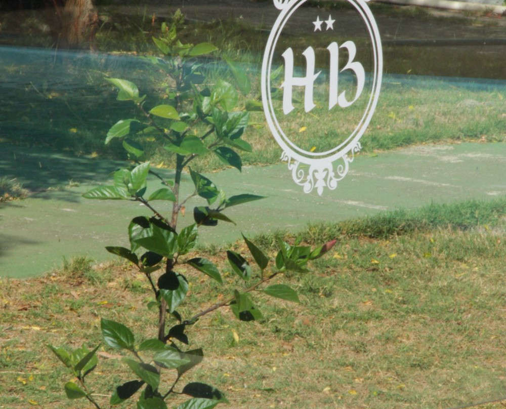 Hotel La Ballena主图