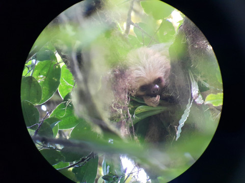 Monteverde Nature Guided Tours-圣埃伦娜必去景点
