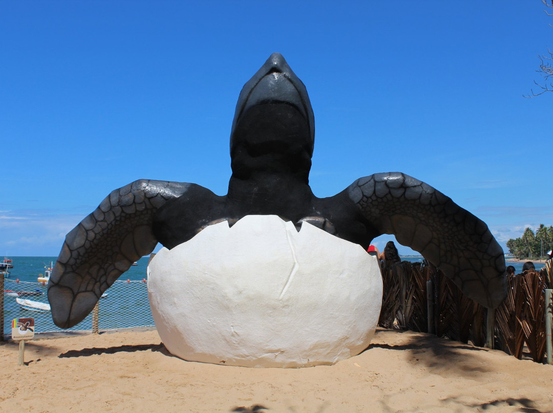 Museu ao Céu Aberto da Tartaruga Marinha景点图片