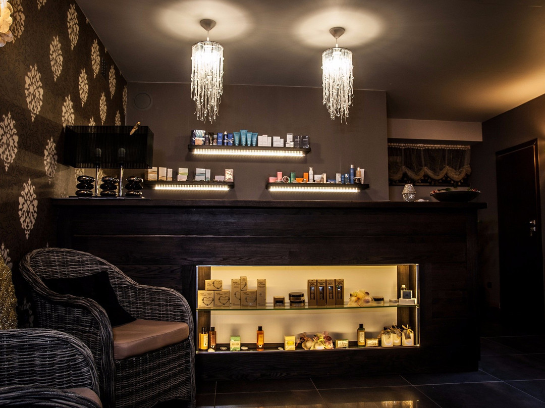 Hotel Amax-SPA&Wellness景点图片