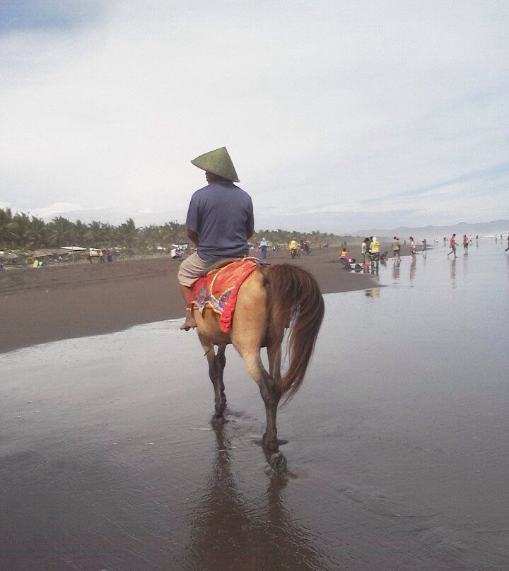 Widarapayung Beach-Cilacap必去景点