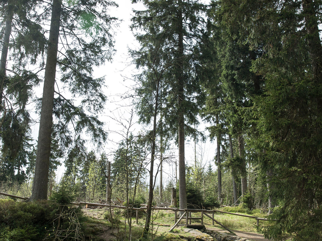 Landhaus Fischer主图