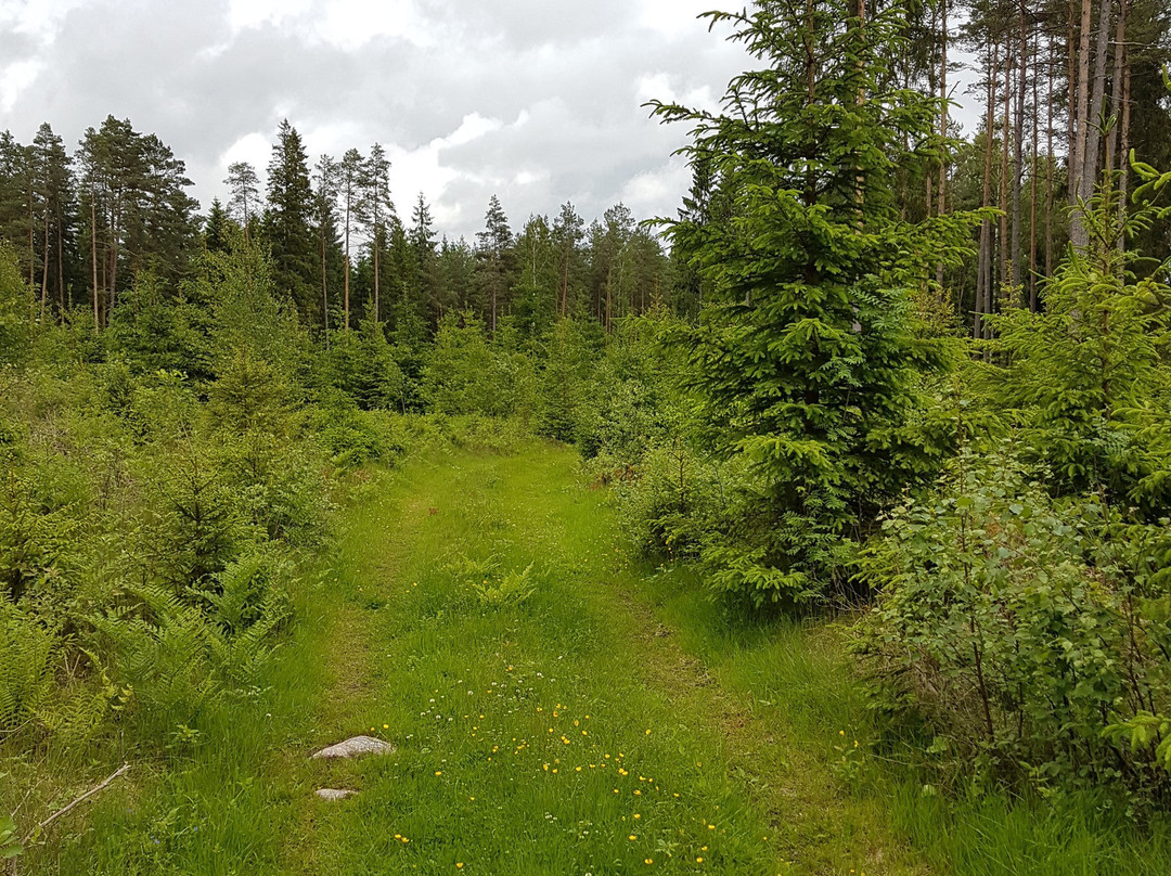 Tuskebo walking trail-Gislaved必去景点