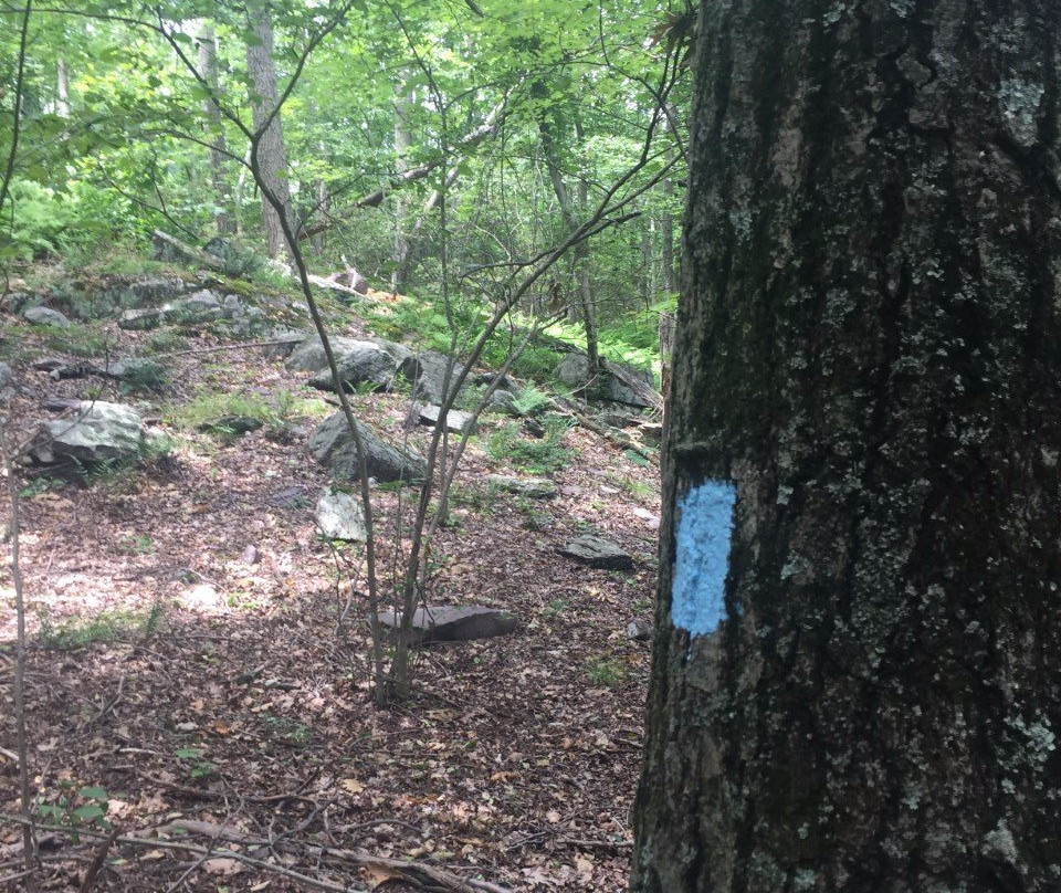 Wawayanda State Park-Hewitt必去景点