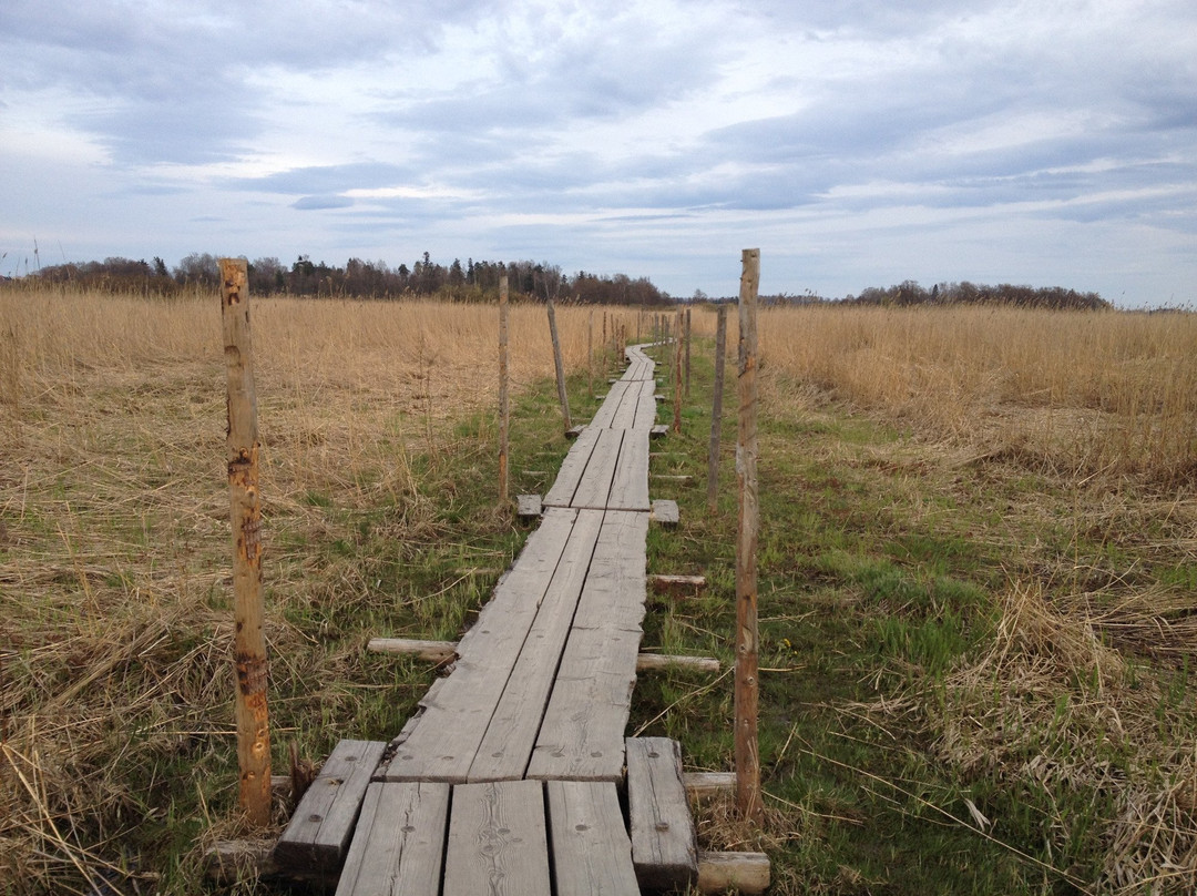 Day With A Local Helsinki-赫尔辛基必去景点
