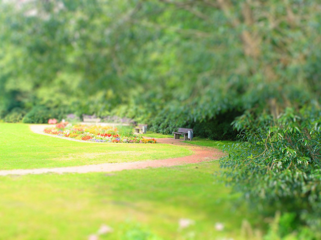 Mühlenteich-Munster必去景点