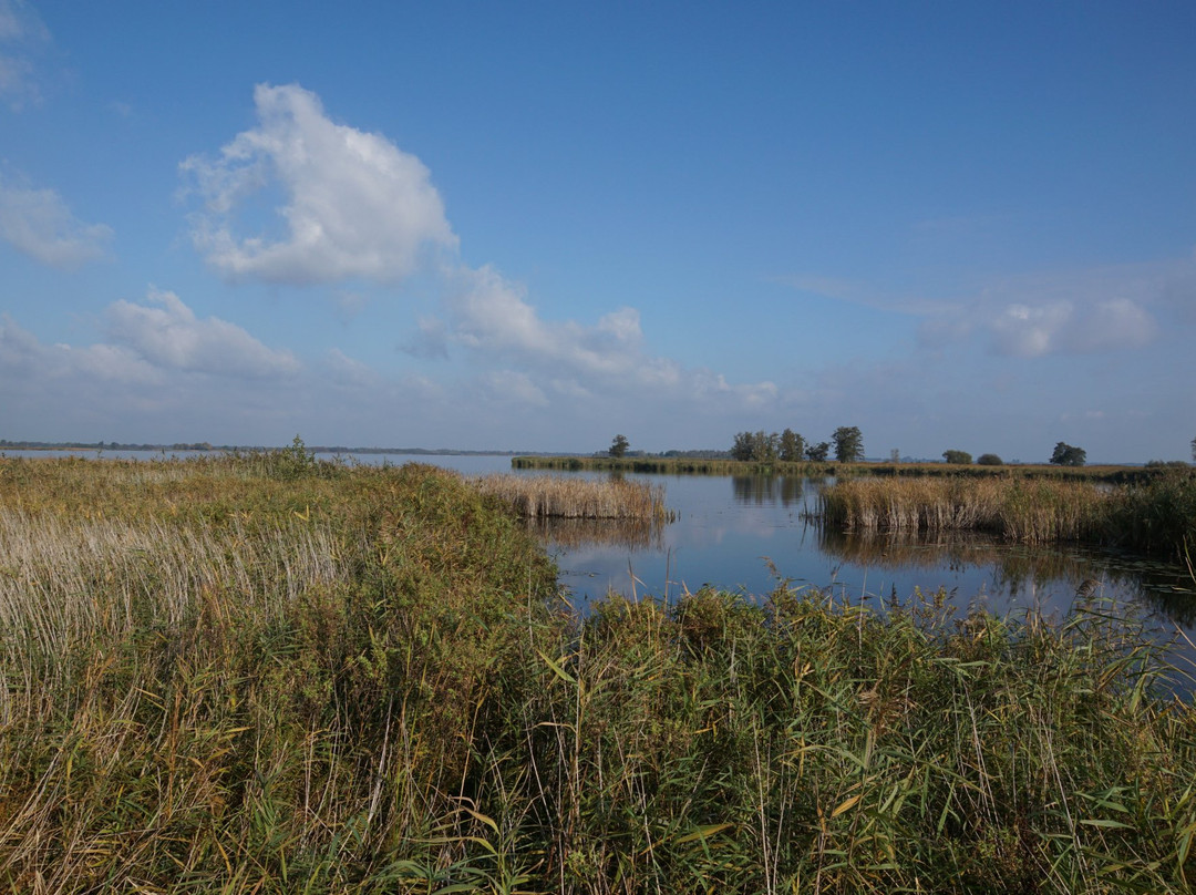 Nationaal Park Weerribben-Wieden景点图片