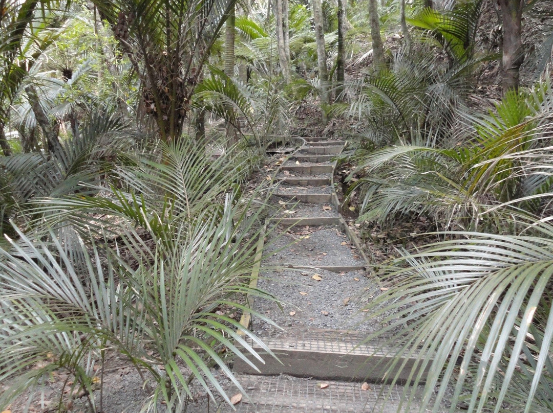 Alice Eaves Scenic Reserve-奥雷瓦必去景点